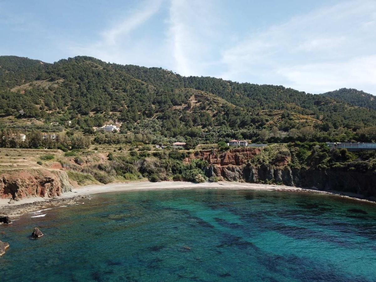 Paradise Blue Villa Pomos Exterior foto